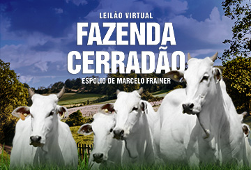 LEILÃO VIRTUAL FAZENDA CERRADÃO